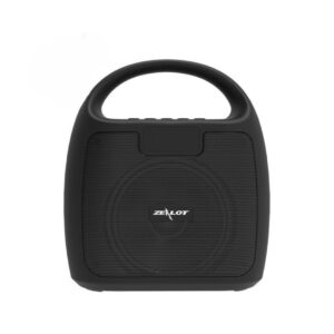 Zealot S42 Fm Radio